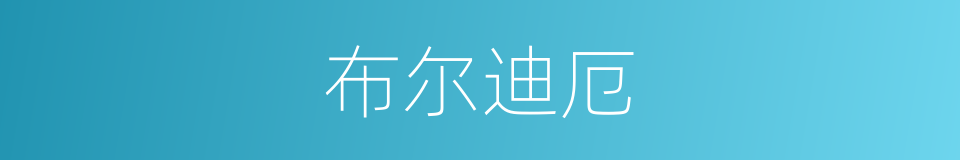 布尔迪厄的同义词