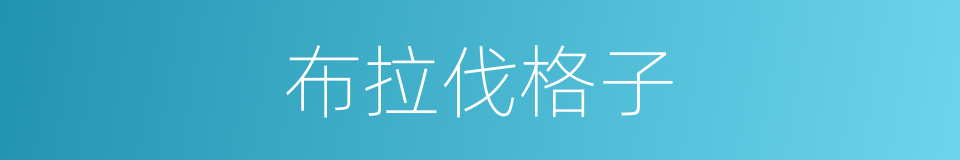 布拉伐格子的同义词