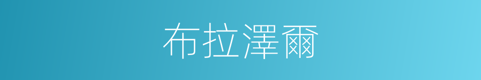 布拉澤爾的同義詞