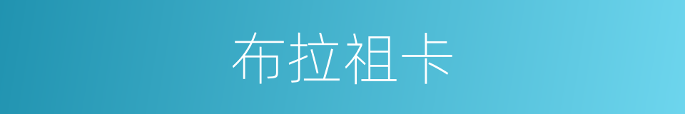 布拉祖卡的同义词