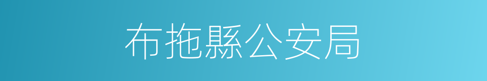 布拖縣公安局的同義詞