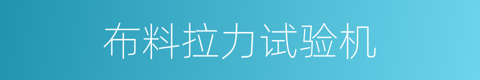 布料拉力试验机的同义词