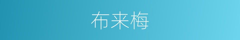 布来梅的同义词