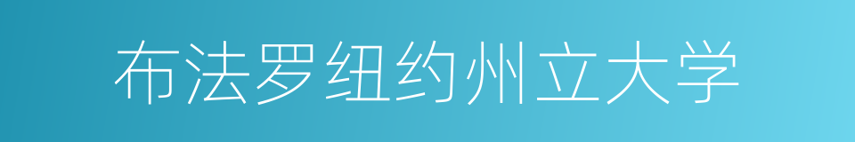 布法罗纽约州立大学的同义词