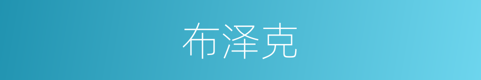布泽克的同义词
