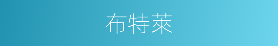 布特萊的同義詞