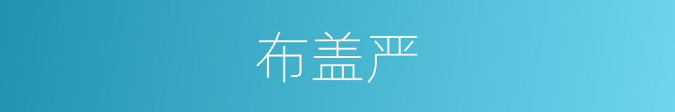 布盖严的同义词