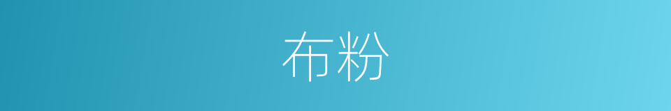 布粉的同义词