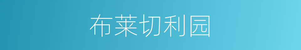 布莱切利园的同义词