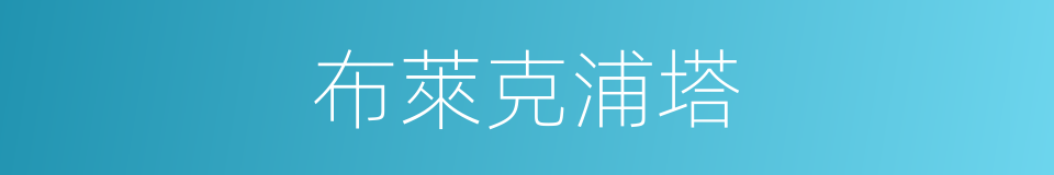 布萊克浦塔的同義詞