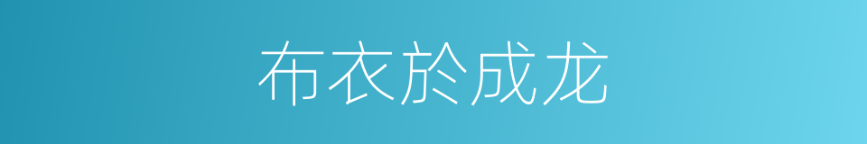 布衣於成龙的同義詞