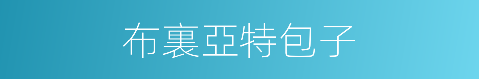布裏亞特包子的同義詞