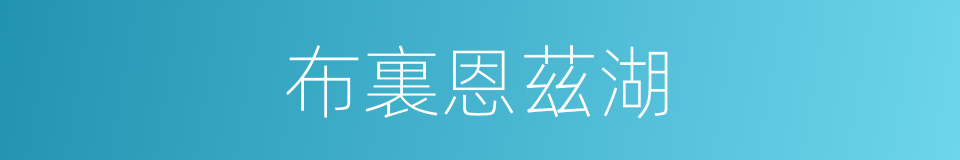 布裏恩茲湖的同義詞