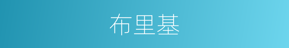 布里基的同义词