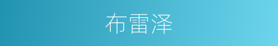 布雷泽的同义词