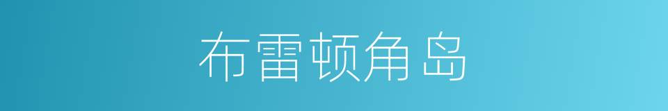 布雷顿角岛的同义词
