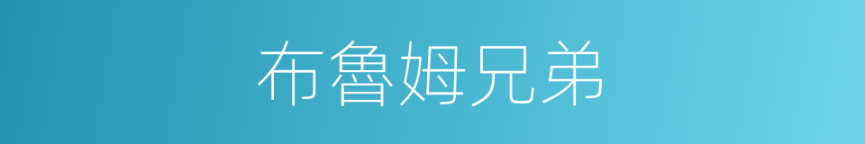 布魯姆兄弟的同義詞