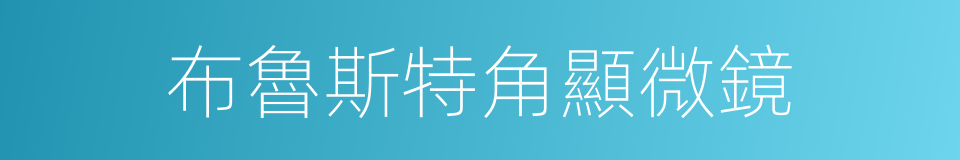 布魯斯特角顯微鏡的同義詞