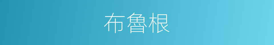 布魯根的同義詞