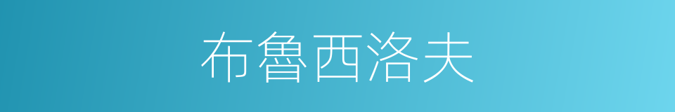 布魯西洛夫的同義詞