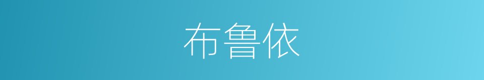 布鲁依的同义词