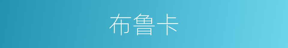 布鲁卡的同义词