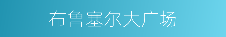 布鲁塞尔大广场的同义词