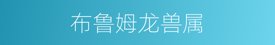 布鲁姆龙兽属的同义词