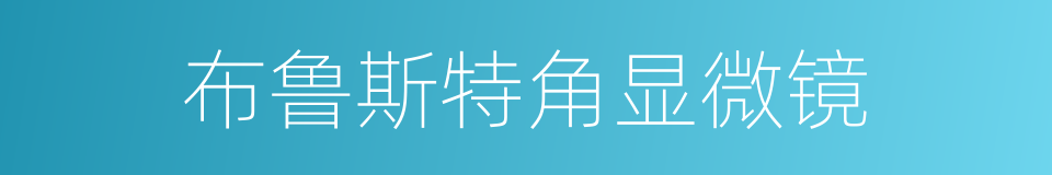 布鲁斯特角显微镜的同义词