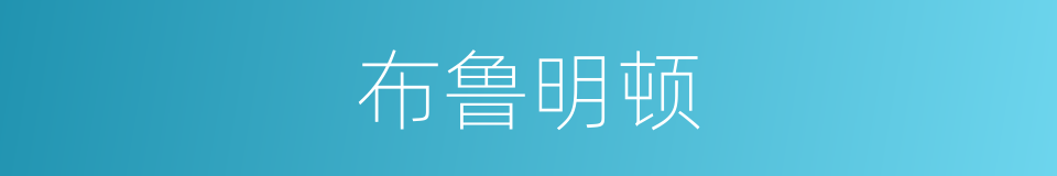 布鲁明顿的同义词