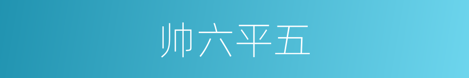 帅六平五的同义词