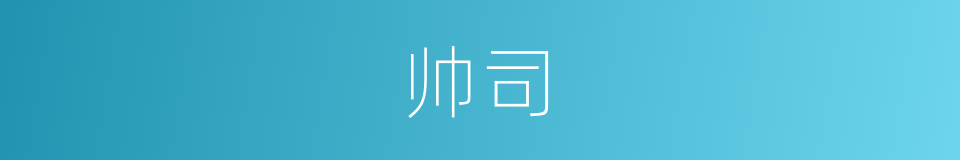 帅司的意思