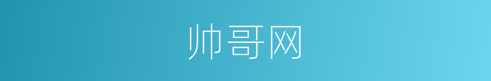 帅哥网的同义词