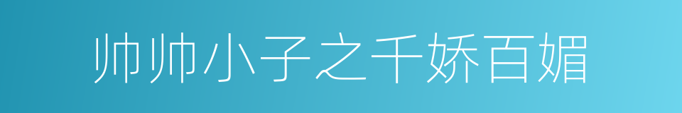 帅帅小子之千娇百媚的同义词