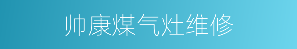 帅康煤气灶维修的同义词