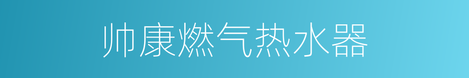 帅康燃气热水器的同义词