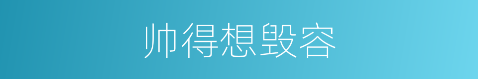 帅得想毁容的同义词