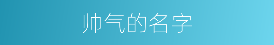 帅气的名字的同义词