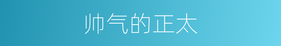 帅气的正太的同义词