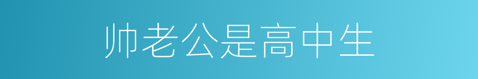 帅老公是高中生的同义词