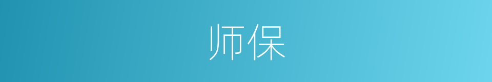 师保的意思