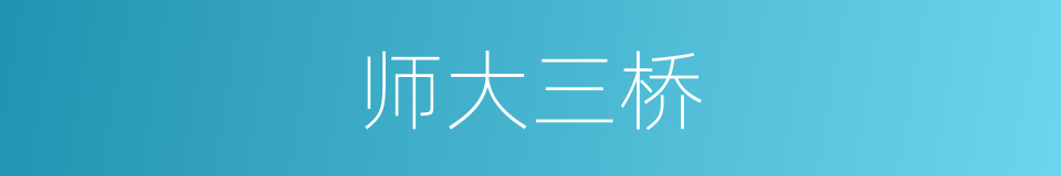 师大三桥的同义词