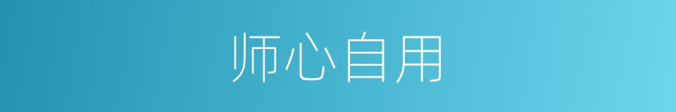 师心自用的意思