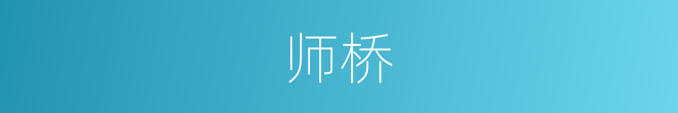 师桥的同义词