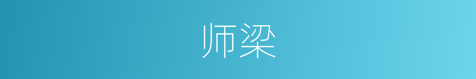 师梁的同义词