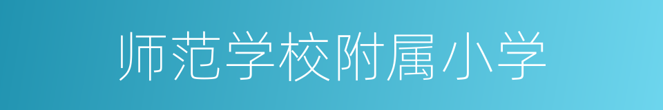 师范学校附属小学的同义词