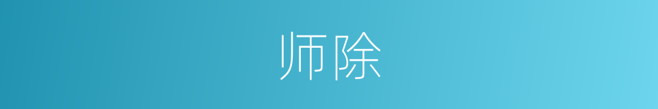 师除的同义词