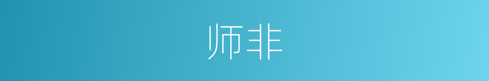 师非的同义词