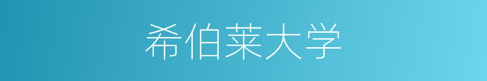 希伯莱大学的同义词