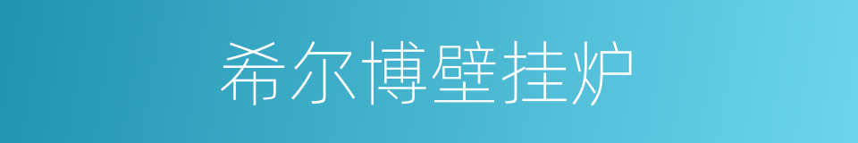 希尔博壁挂炉的同义词